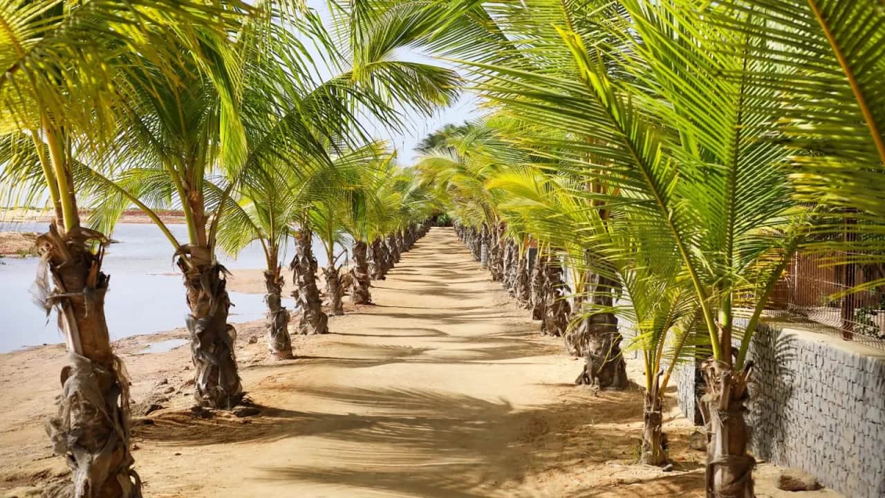 Kiedy na wyspy zielonego przylądka? Najlepszy czas na wakacje