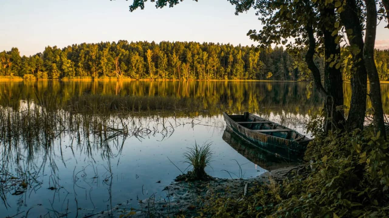 Jezioro Rybackie: piękne miejsce do wędkowania i rekreacji w Polsce
