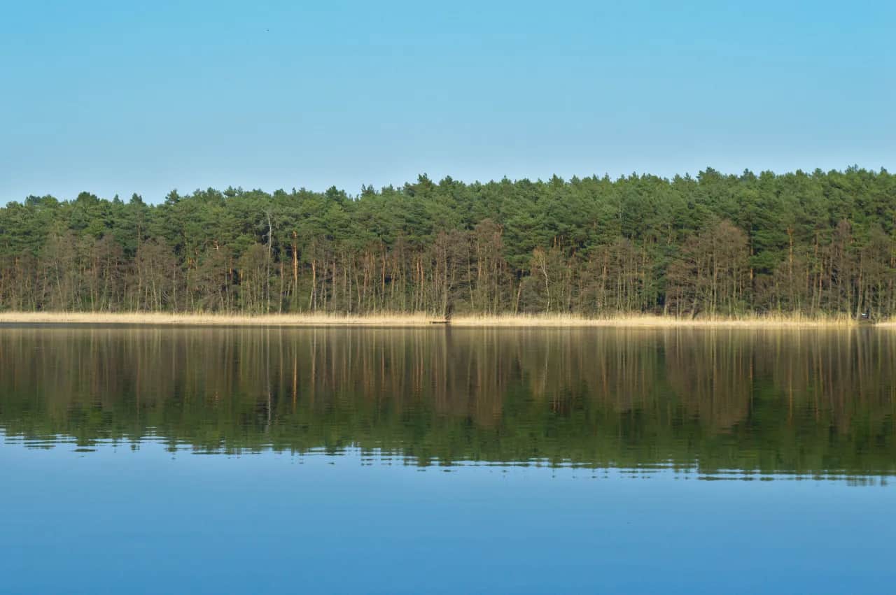 Jezioro Niepruszewskie: raj dla wędkarzy i miłośników przyrody