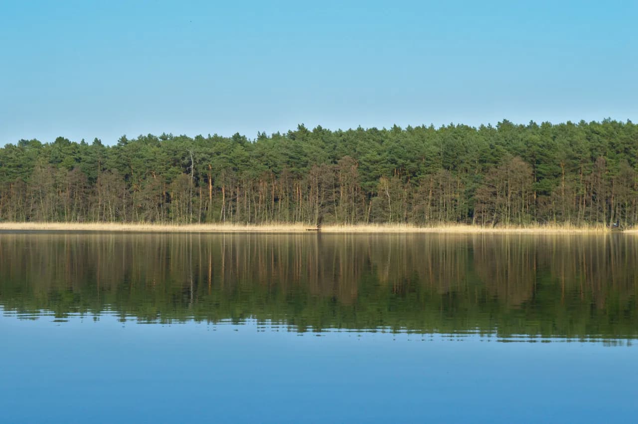 Jezioro Niepruszewskie: raj dla wędkarzy i miłośników przyrody