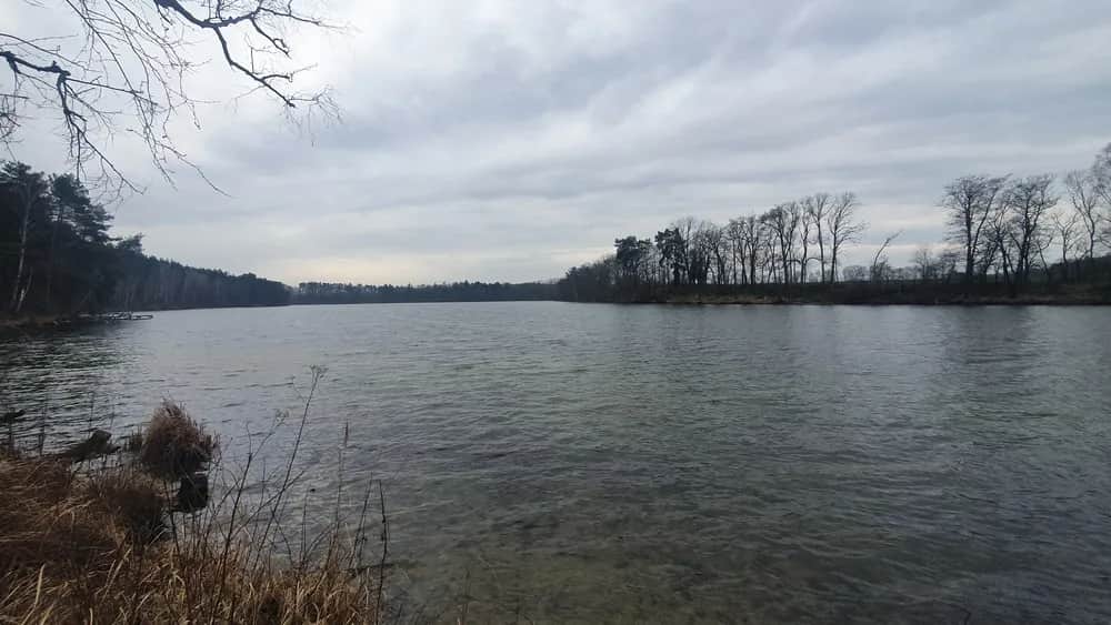 Jezioro Lubieńskie: piękne miejsce na relaks i wędkowanie w naturze