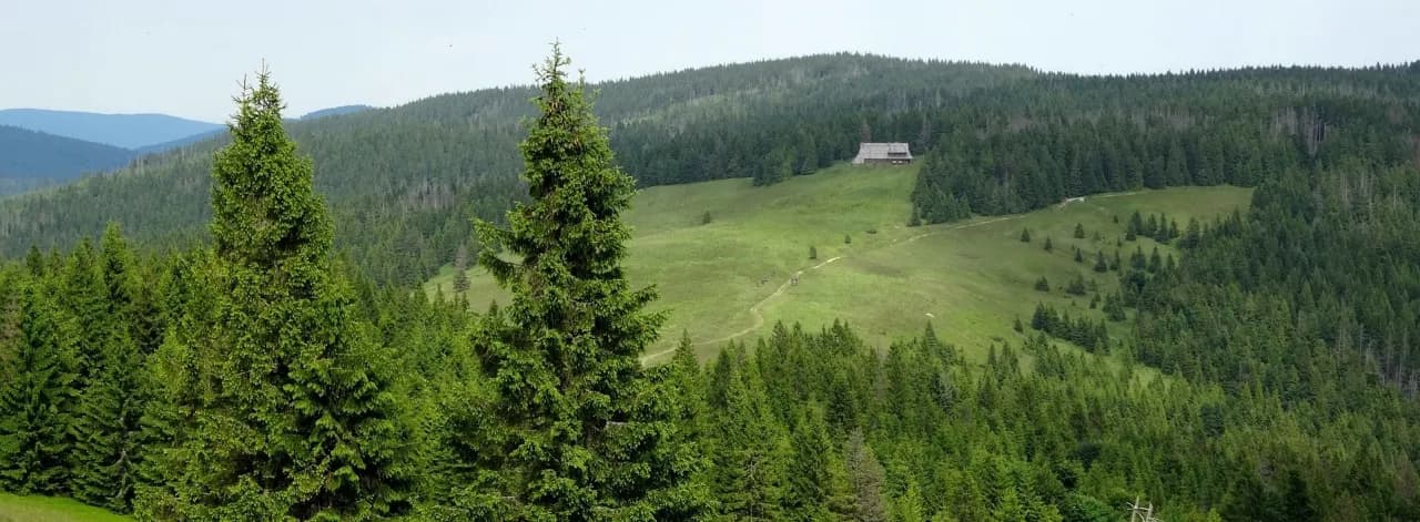 Jaki szlak na Turbacz? Odkryj najkrótsze i najpiękniejsze trasy
