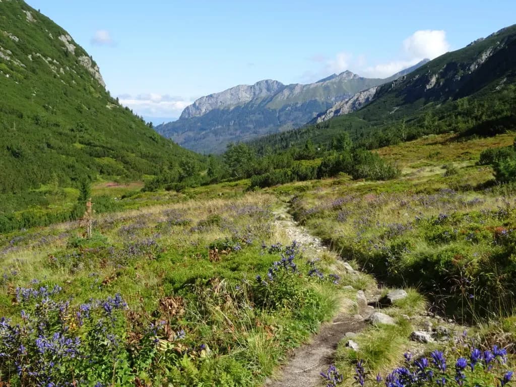 Od kiedy otwarte szlaki w Tatrach Słowackich – ważne daty i zmiany