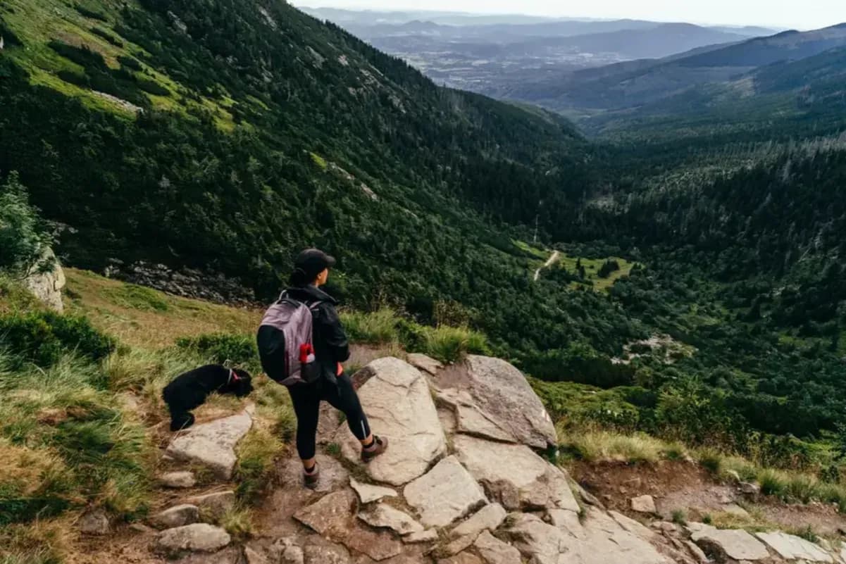 Gdzie w góry latem? Odkryj najlepsze trasy i miejsca na wędrówki